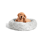 Pâtée boulette chien