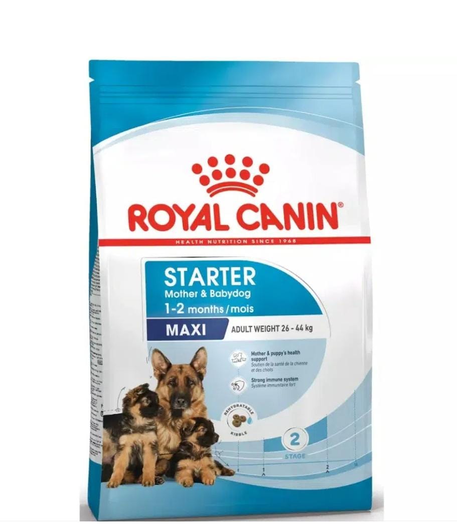 Royal Canin Maxi Starter 4kg – Croquettes pour chiots de grandes races et chiennes en gestation/lactation, favorisent croissance et immunité