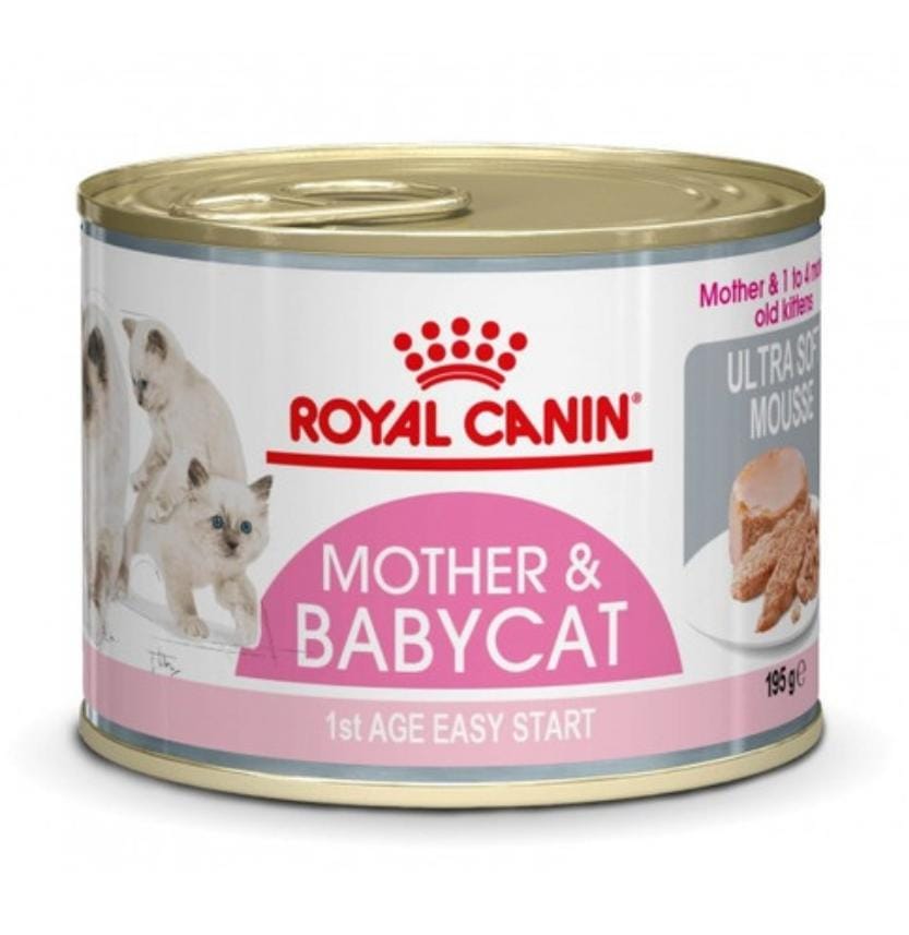 Royal Canin Mother Babycat 195g – Pâtée nourrissante pour chattes gestantes/allaitantes et chatons jusqu’à 4 mois