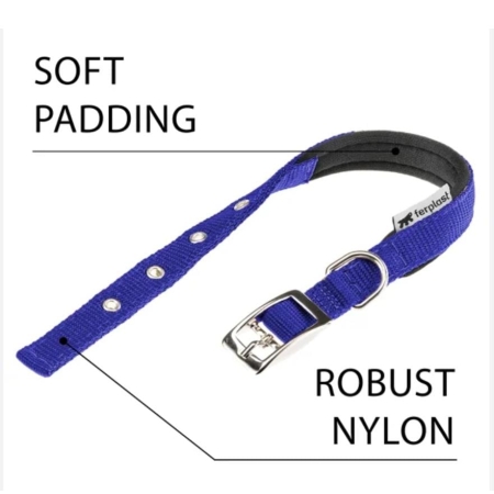 Collier Ferplast pour chien 50 × 3 cm – Résistant, confortable & ajustable | AnimaleriePP Maroc