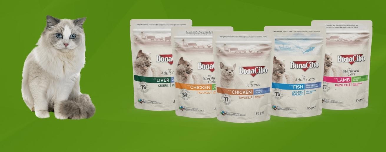 Pâtée BonaCibo au poulet pour chaton 85g – Saveur naturelle & nutrition complète | AnimaleriePP Maroc Pâtée BonaCibo au poulet pour chaton 85g – Saveur naturelle & nutrition complète | AnimaleriePP Maroc
