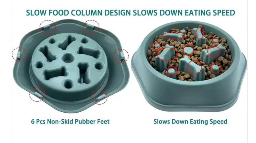 Bol alimentaire lente Slow Food pour chien – Anti-glouton & digestion saine | AnimaleriePP Maroc