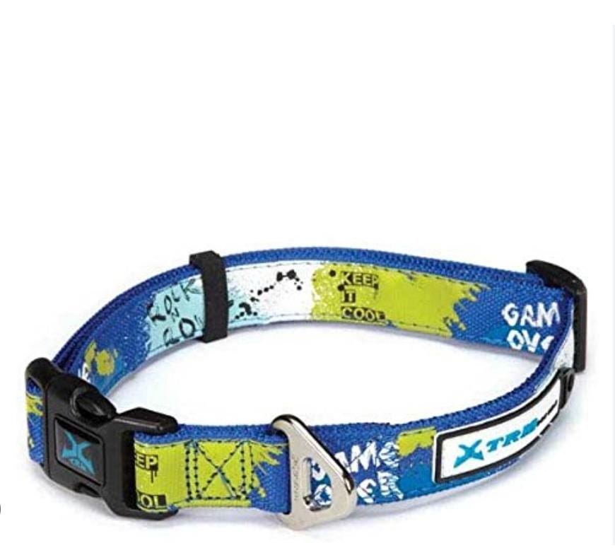 Collier Papillon pour chien 20 × 360-480 mm – Élégant, réglable & confortable | AnimaleriePP Maroc