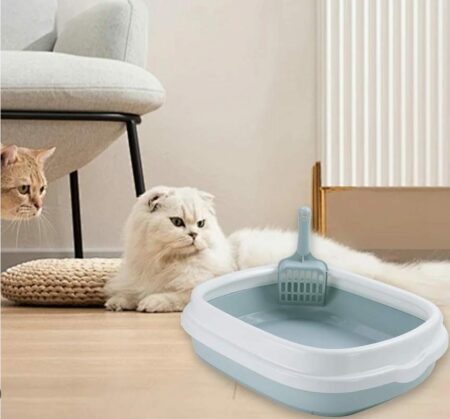 Bac à litière simple pour chat – Design pratique et fonctionnel