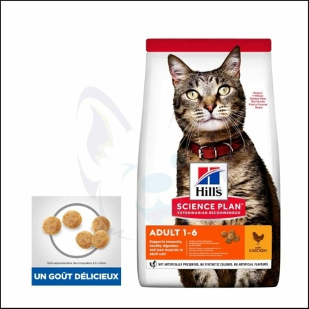 Hills Pâtée pour Chat Adulte – Sachet 85g – Nourriture humide équilibrée à Casablanca